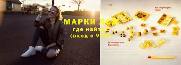 ГАЛЛЮЦИНОГЕННЫЕ ГРИБЫ Гусь-Хрустальный