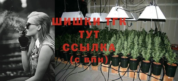 ГАЛЛЮЦИНОГЕННЫЕ ГРИБЫ Гусь-Хрустальный