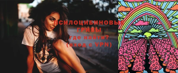 прущий лед Туринск